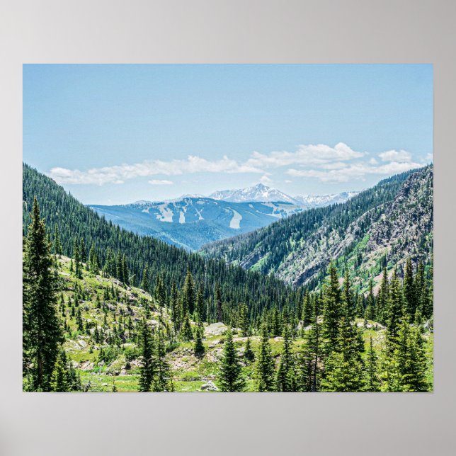 Dense Forest Background // Ski Resort Runs Poster (Front)