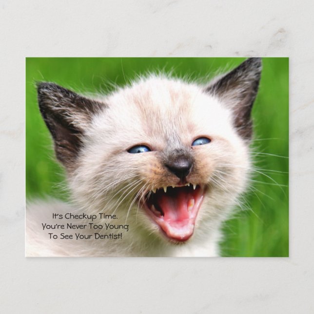Dental Checkup Appointment Reminder Baby Teeth Postcard (Front)