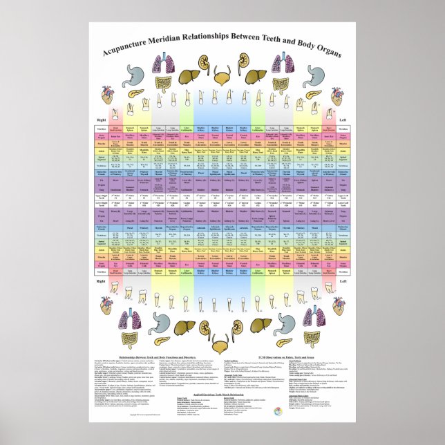 Dental Teeth Acupuncture Health Poster (Front)