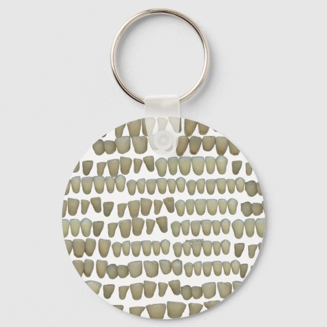 DENTIST DENTISTRY ORTHODONTICS ROTTEN TEETH MOUTH KEY RING (Front)