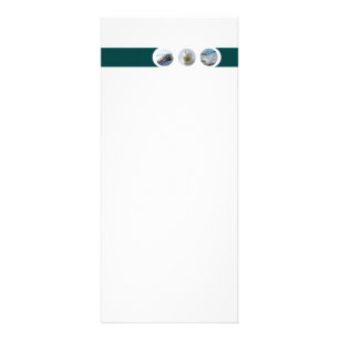 Dentist Rack Card