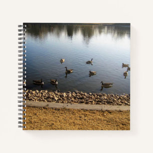 Denver City Park, Denver, Colorado Notebook