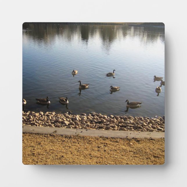 Denver City Park, Denver, Colorado Plaque (Front)