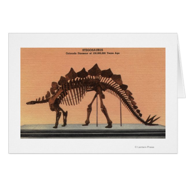 Denver, Colorado - Museum of Natural History 2 (Front Horizontal)