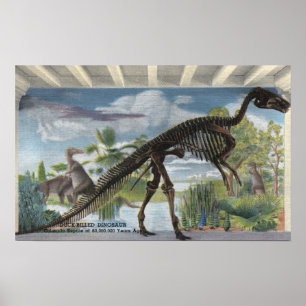 Denver, Colorado - Museum of Natural History 2 Poster