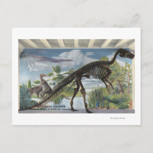 Denver, Colorado - Museum of Natural History Postcard