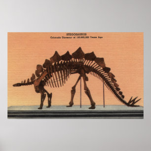 Denver, Colorado - Museum of Natural History Poster