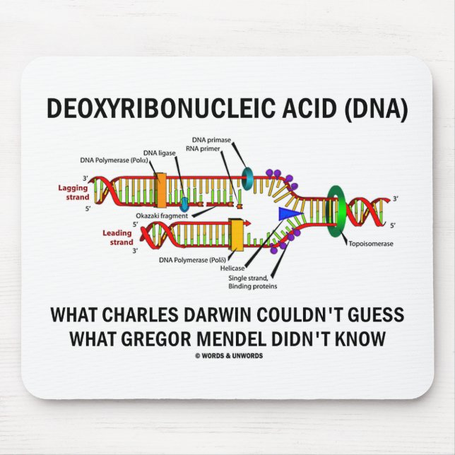 Deoxyribonucelic Acid (DNA) Mendel Darwin Mouse Pad (Front)