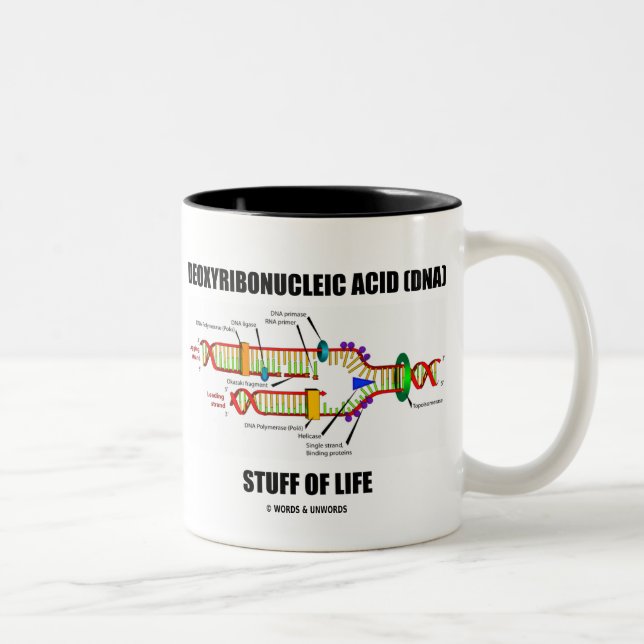 Deoxyribonucleic Acid (DNA) Stuff Of Life Two-Tone Coffee Mug (Right)
