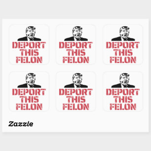 Deport This Felon Square Sticker