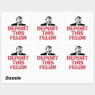 Deport This Felon Square Sticker