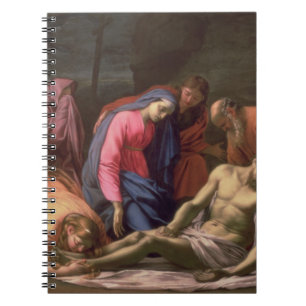 Deposition Notebook