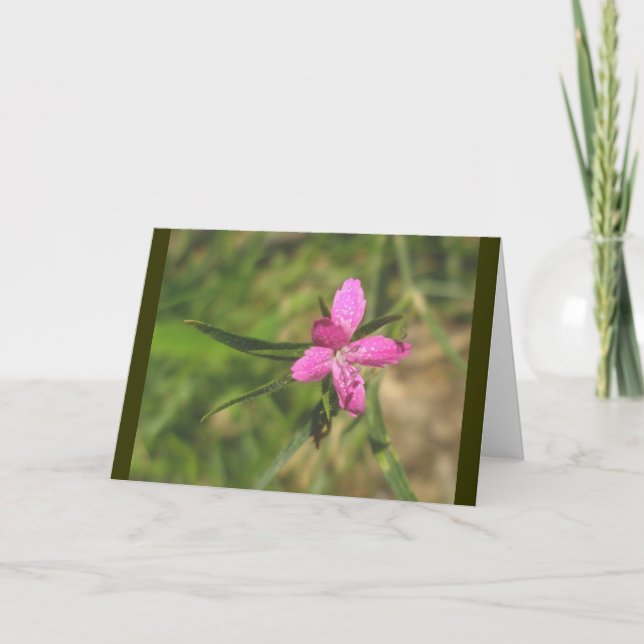 Deptford Pink Note Card (Front)