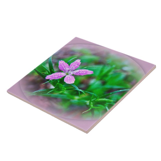 Deptford Pink Wildflower Tile (Side)