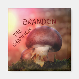 Der  Campion mit dem Champignon Magnet