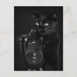 Der Fotograf - Postkarte Postcard