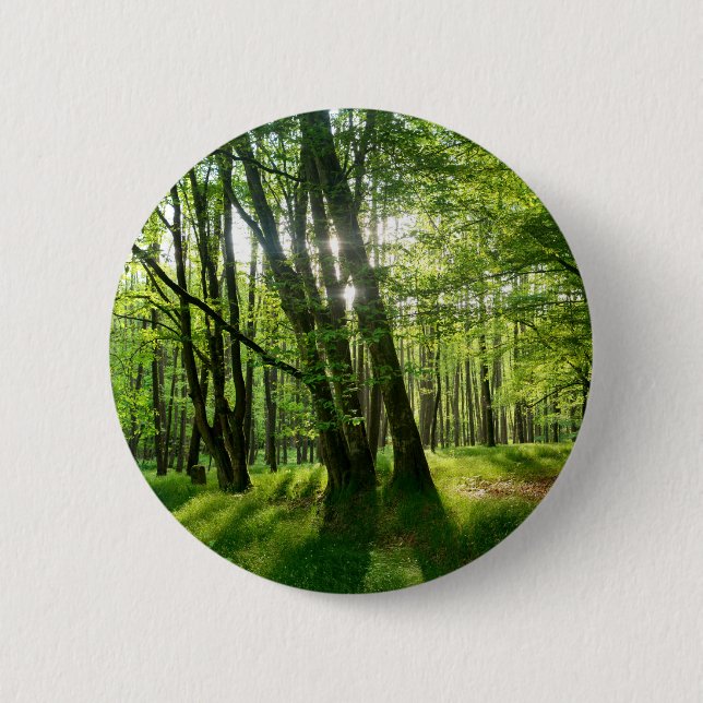 Der Wald im Frühling 6 Cm Round Badge (Front)