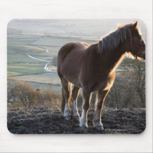 Derbyshire, England Mouse Pad