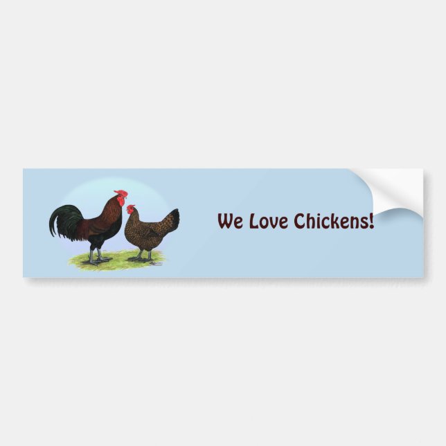 Derbyshire Redcap Fowl Bumper Sticker (Front)