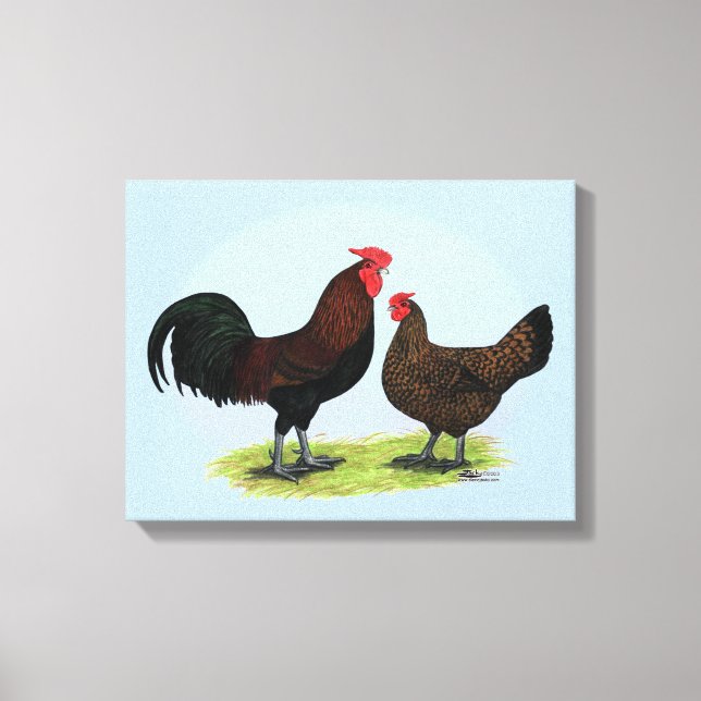 Derbyshire Redcap Fowl Canvas Print (Front)