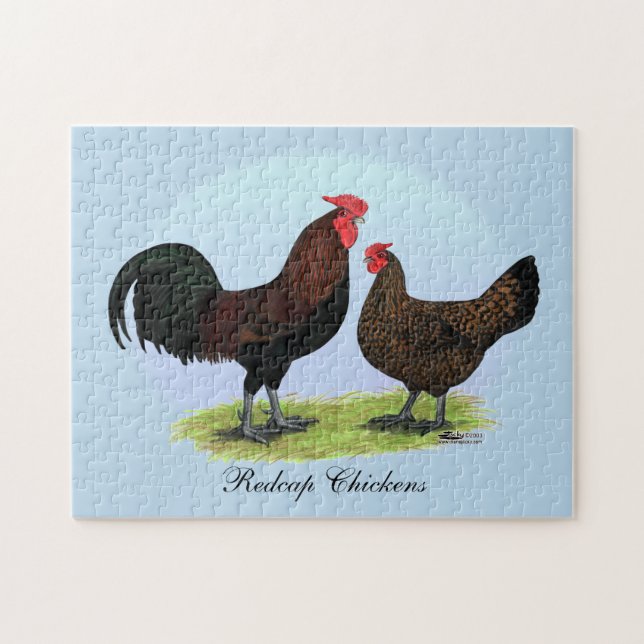 Derbyshire Redcap Fowl Jigsaw Puzzle (Horizontal)