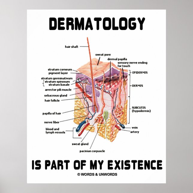 Dermatology Is Part Of My Existence (Anatomy) Poster (Front)