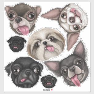 Derpy pups