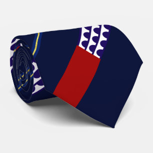 Des Moines (Iowa) city flag Neck Tie