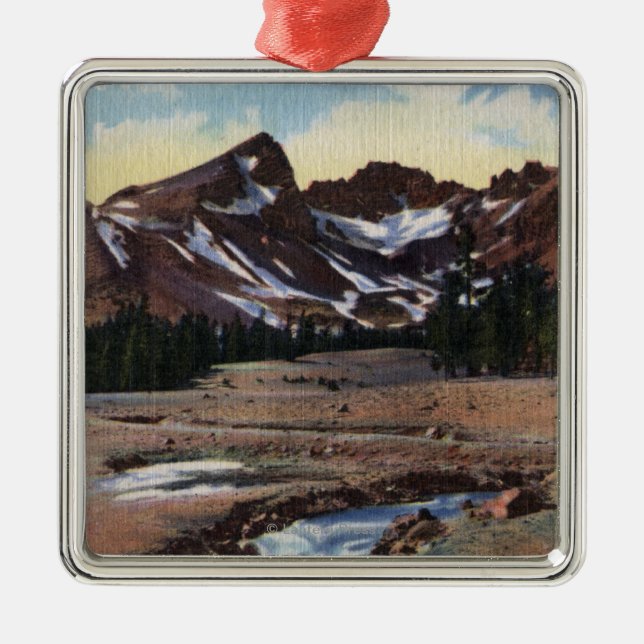 Deschutes National Forest, OR Metal Tree Decoration (Front)