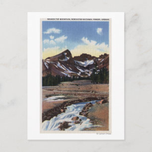 Deschutes National Forest, OR Postcard