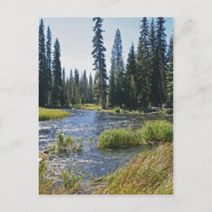Deschutes River at Little Lava Lake, Oregon Postcard