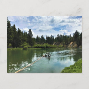 Deschutes River, Oregon Postcard