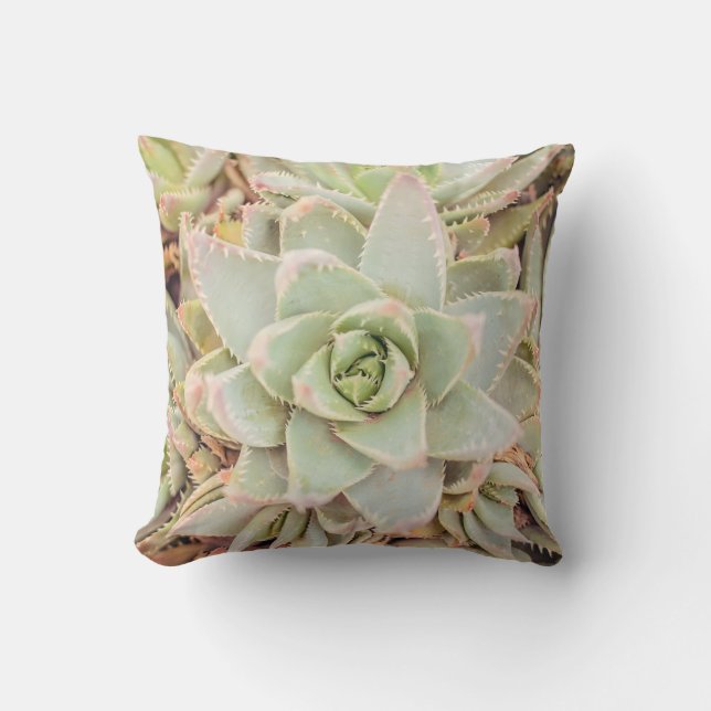 Desert Aloe Throw Pillow (Front)