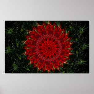 Desert Bloom Poster