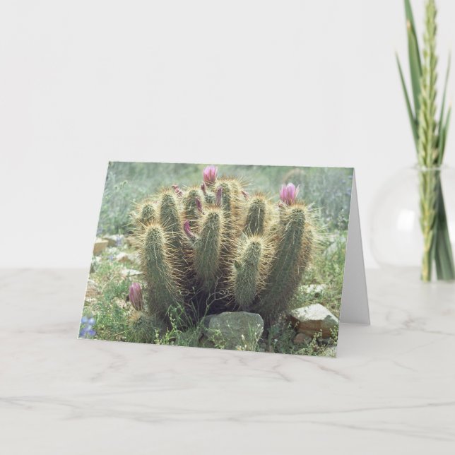 Desert Blooms Cactus Greeting Cards or Note Cards (Front)
