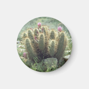 Desert Blooms Cactus Refrigerator Gift Magnet