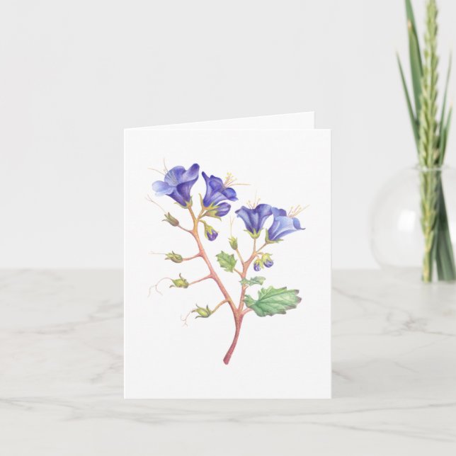 Desert Bluebells Thank You Card (Front)