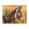 Desert Burro