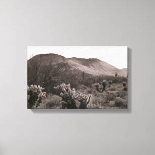 Desert Cacti Jumping Cholla B&W Photo Art Print