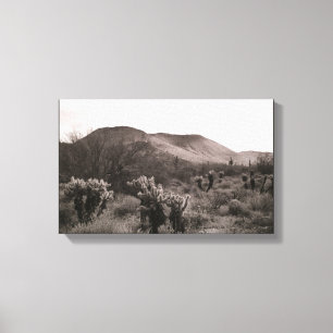 Desert Cacti Jumping Cholla B&W Photo Art Prints