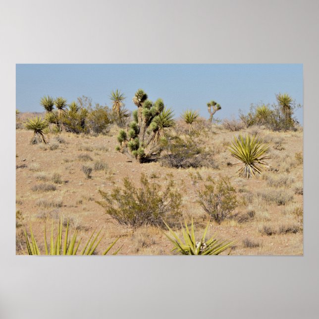 Desert Cactus and Plants Poster (Front)