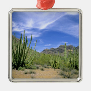 Desert cactus at Organ Pipe National Monument, Metal Tree Decoration