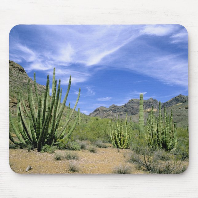 Desert cactus at Organ Pipe National Monument, Mouse Pad (Front)