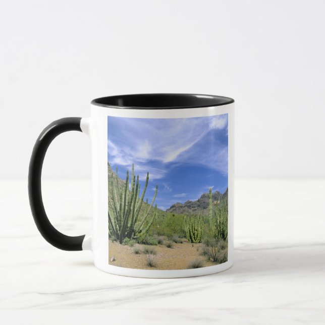 Desert cactus at Organ Pipe National Monument, Mug (Left)