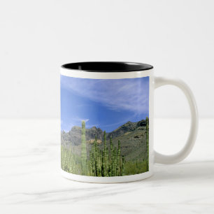 Desert cactus at Organ Pipe National Monument, Two-Tone Coffee Mug