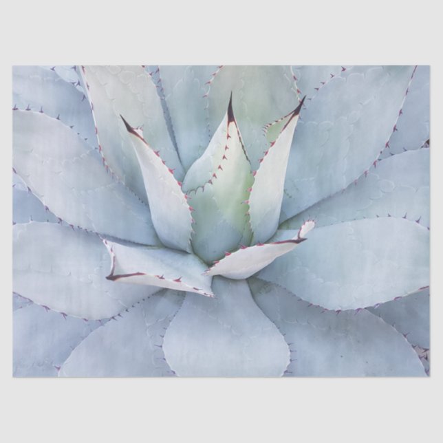 Desert Cactus Close-up Decoupage Tissue Paper (Front)