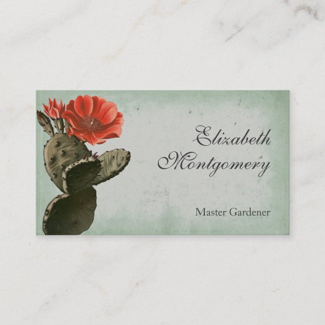 Desert Cactus Flower Professional Business Cards (Front)