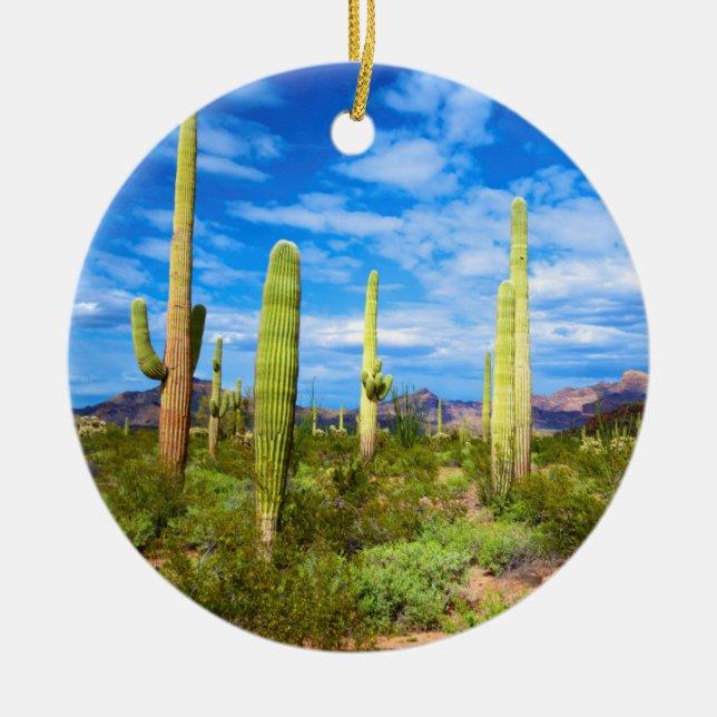 Desert cactus landscape, Arizona Ceramic Tree Decoration (Front)