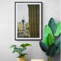 Desert Cactus Photography Poster 