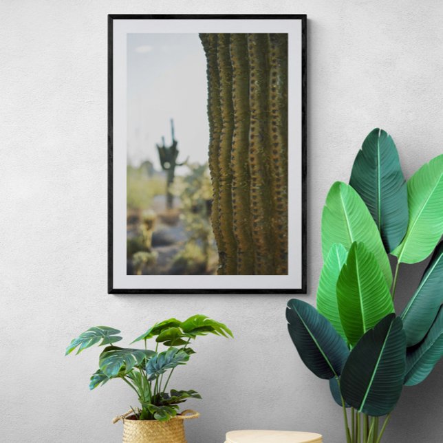 Desert Cactus Photography Poster  (Creator Uploaded)